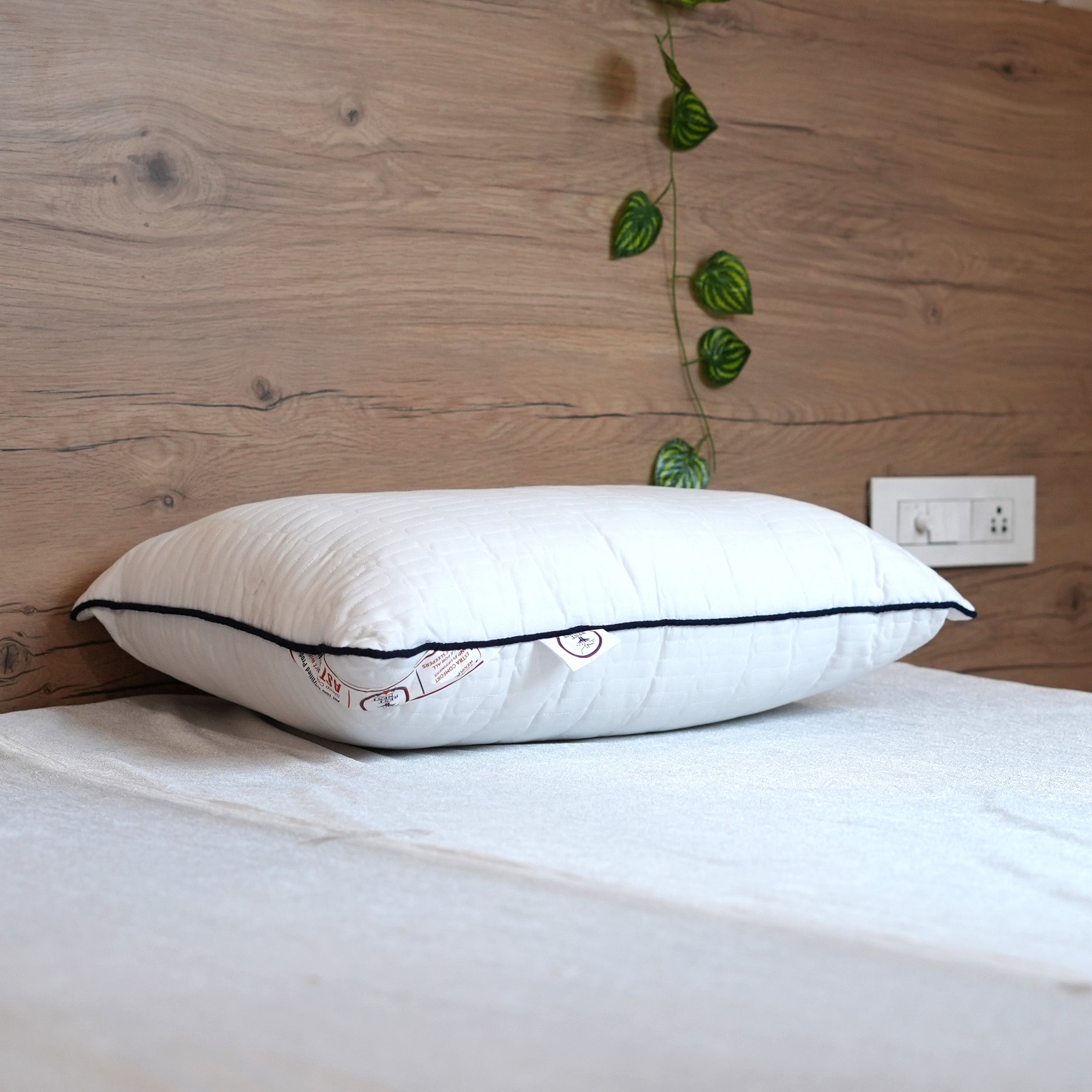 Rest Nest Premium White Glace Cotton Pillows – Pack of 2 (800g Each)